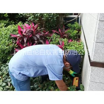 广州住宅环境灭鼠工程